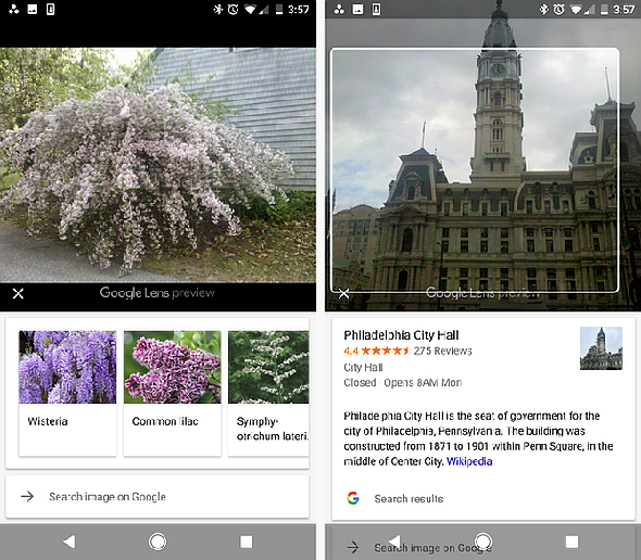 Google Lens Identifier les plantes et les bâtiments