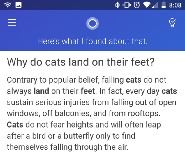 Cortana Cat Question Réponse