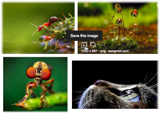 3 astuces astucieuses pour une meilleure recherche d'images Bing Bing Créez votre flux