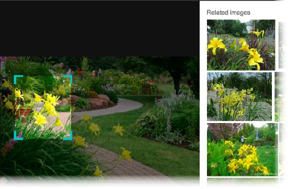 3 astuces pour une meilleure recherche d'images Bing Recherche d'images Bing Recherche visuelle