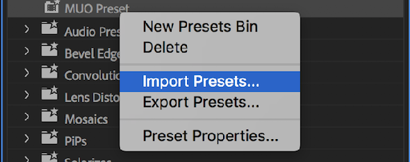 Menu prédéfini d'importation / exportation de Premiere Pro