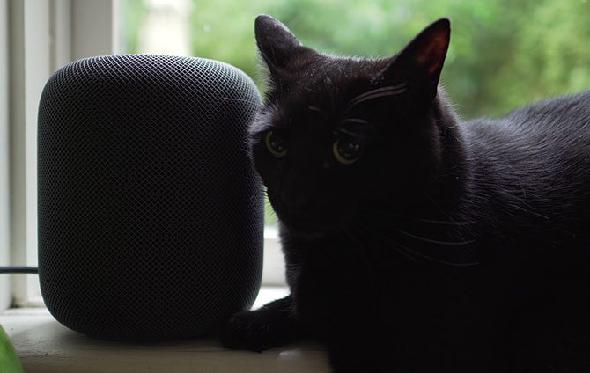HomePod avec chat noir