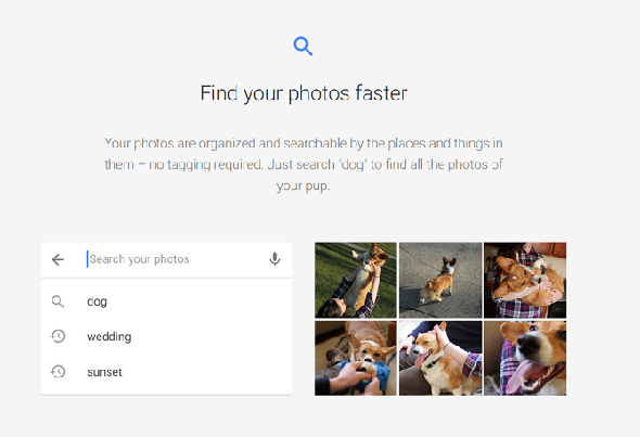 Capture d'écran du site Web Google Photos décrivant l'identification d'une photo