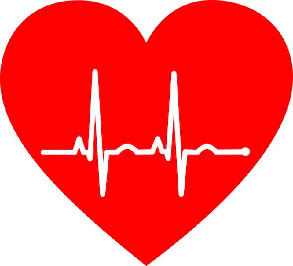 cardiogramme cardiaque