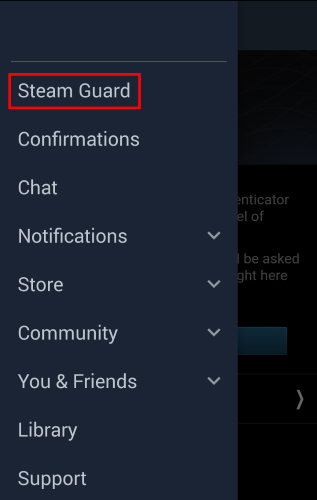 Emplacement de l'option Steam App Guard