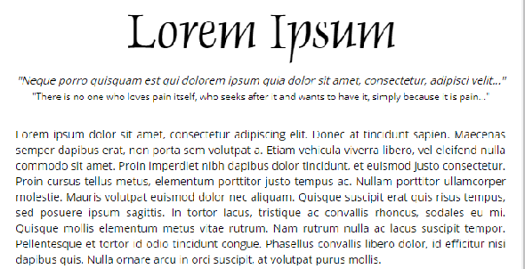 Loremipsum.com Texte