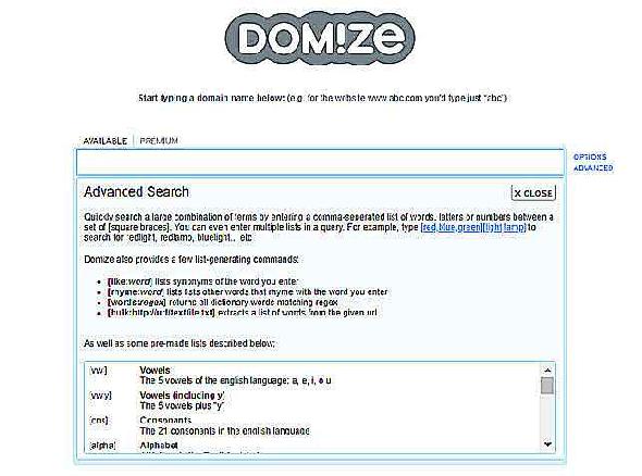 Site Web de recherche de nom de domaine Domize