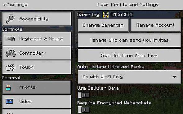 Modifiez les paramètres de messagerie Minecraft pour une expérience plus sûre.