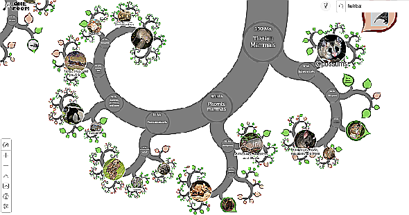 OneZoom a le meilleur explorateur interactif d'arbre de vie pour l'évolution des espèces