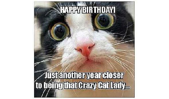 Crazy Cat Lady Anniversaire Meme