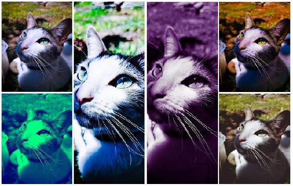 exemples de filtres photoshop express